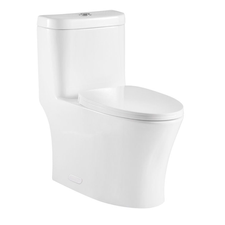 Royal Legend® Dualflush Elongated OnePiece Toilet with Glazed Surface (Seat Included